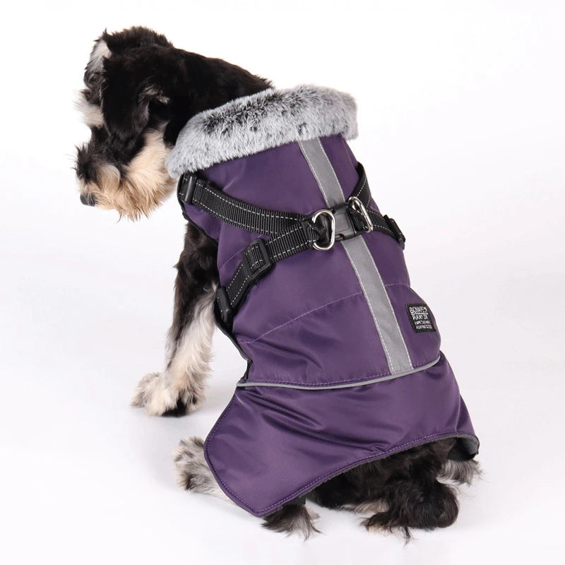 Winter Waterproof Dog Jacket