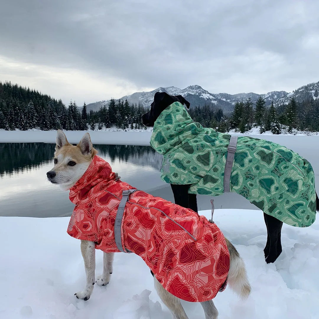 Dog Winter Outfit