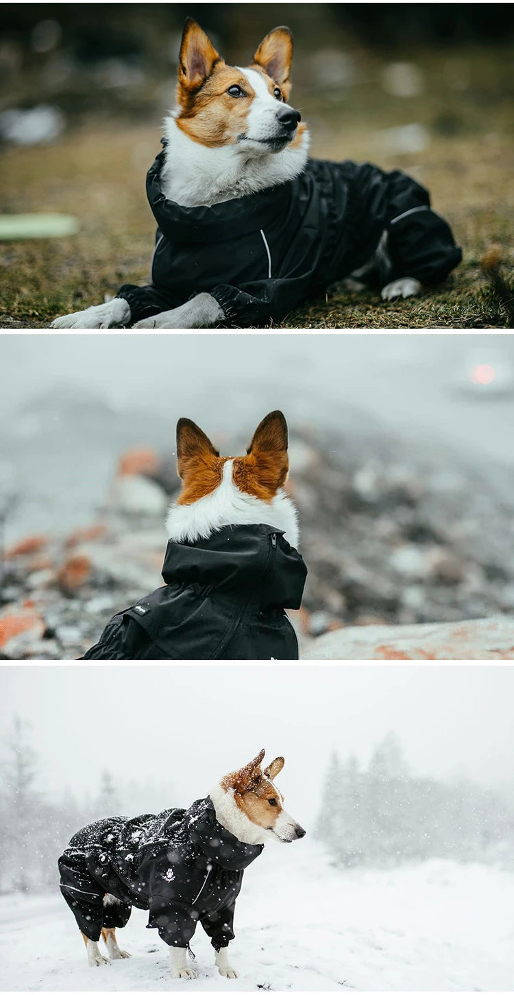 Outdoor Dog Jacket