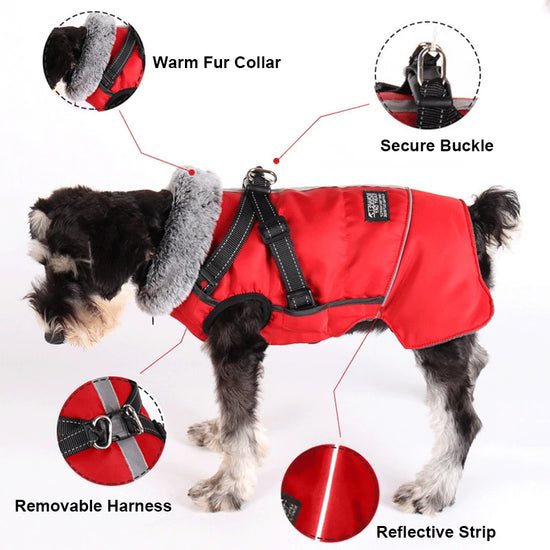 Winter Waterproof Dog Jacket