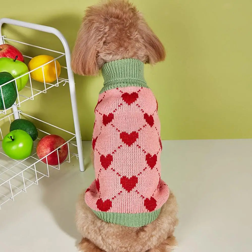 Dog Knitted Sweater