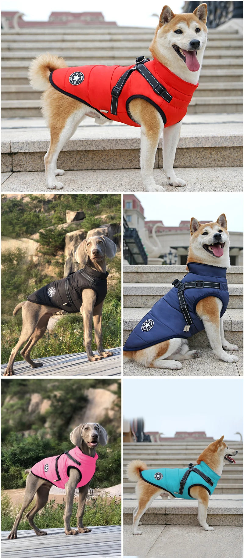 Warm Waterproof Dog Vest