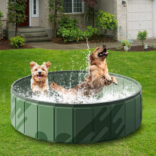 Portable Foldable Pet Pool