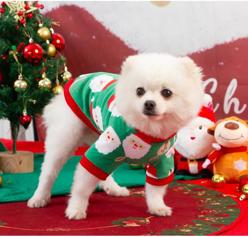 Pet Winter Sweater