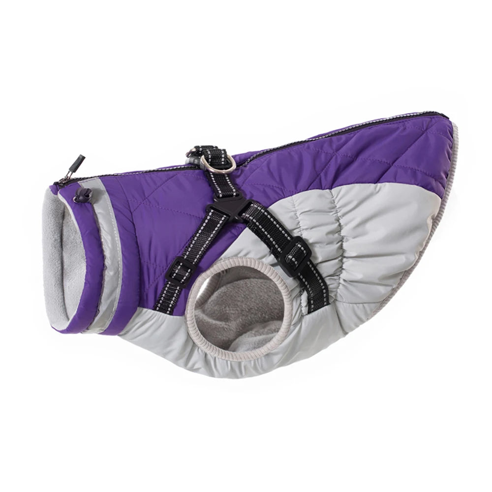 Dog Winter Coat with Harness
