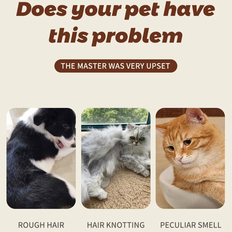 Pet Shampoo for Odor Control & Soft Coat
