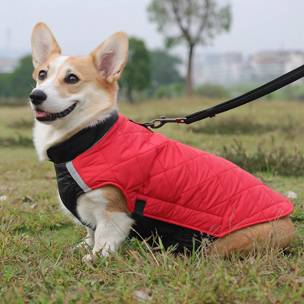 Winter Dog Vest Jacket