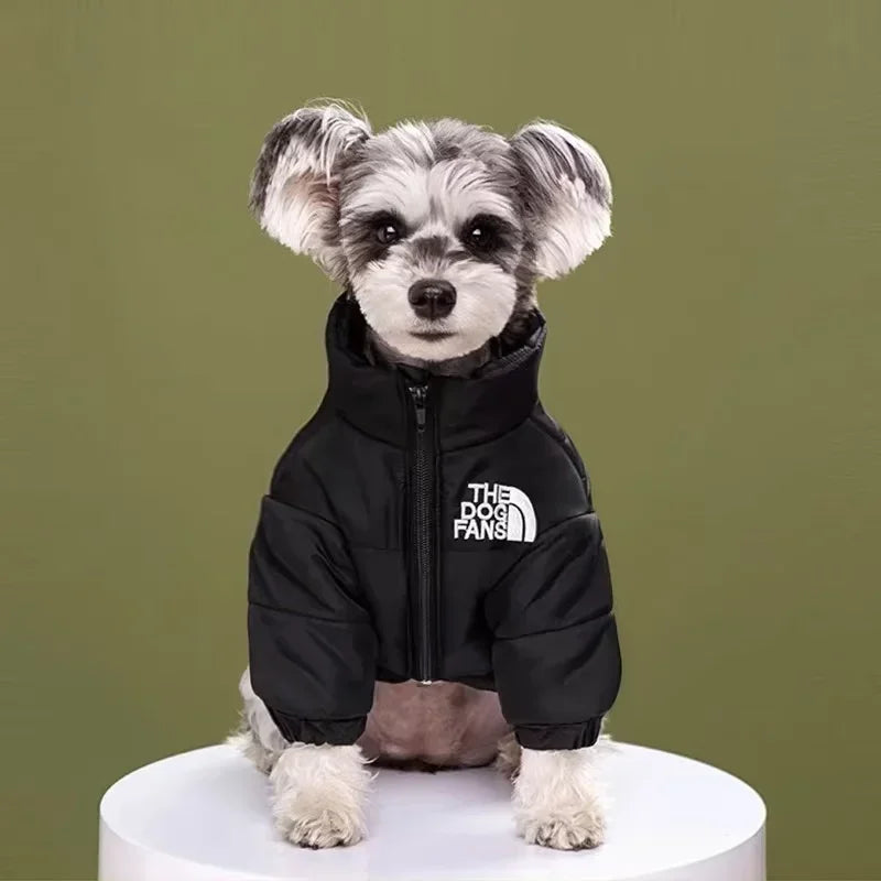 Winter Padded Dog Coat