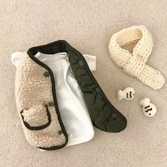 Royal Crown Pet Costume