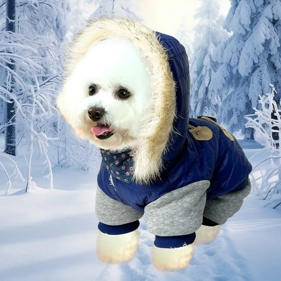 Waterproof Windproof Dog Jumpsuit