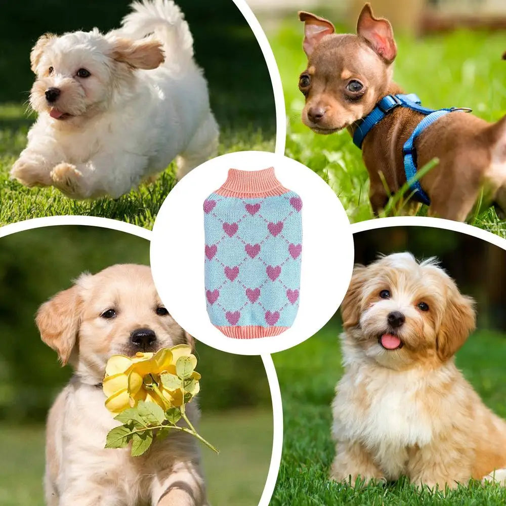 Dog Knitted Sweater