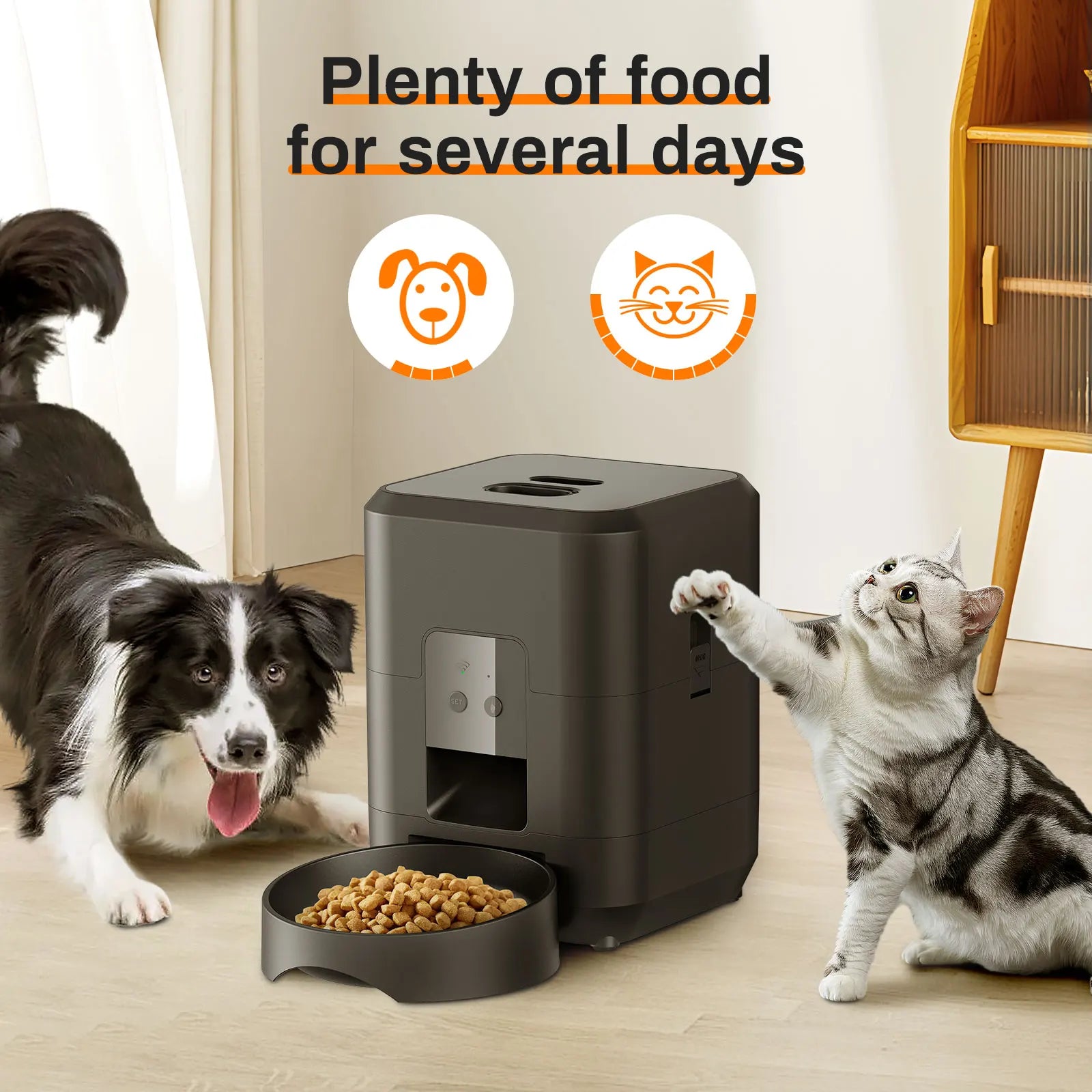 APP-Controlled Automatic Pet Feeder