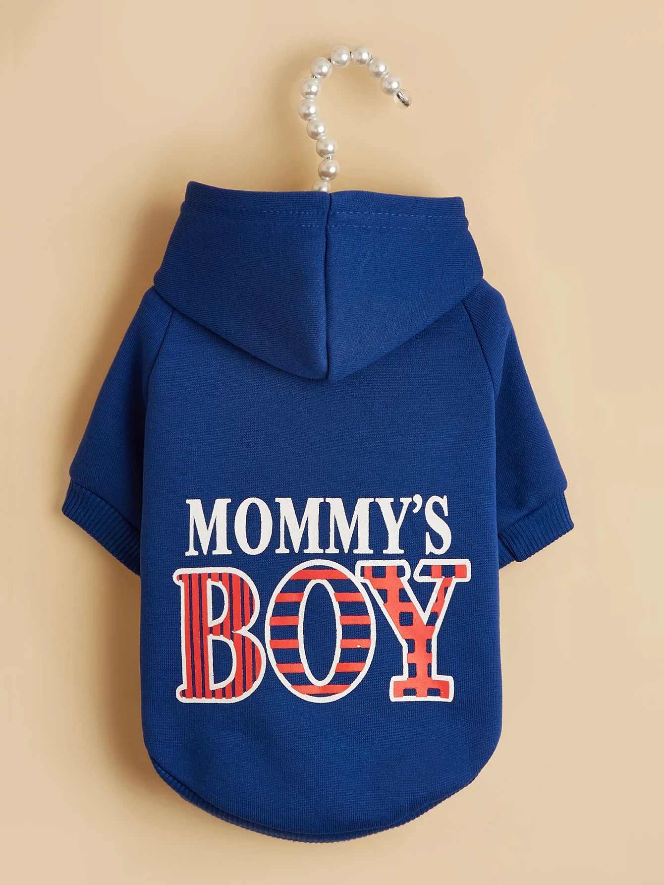 Pet Hoodie Outfit