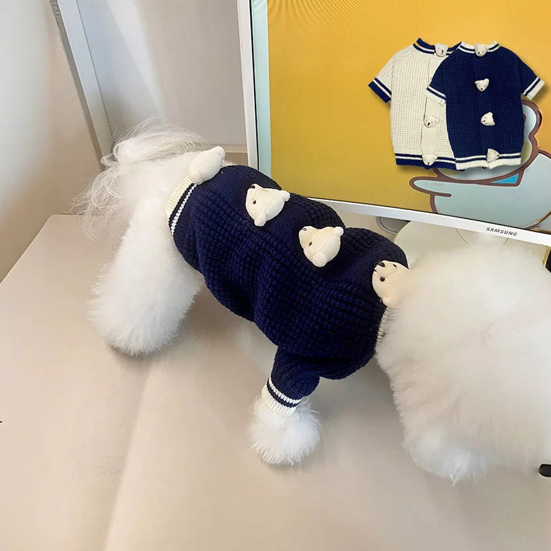 Pet Bear Sweater
