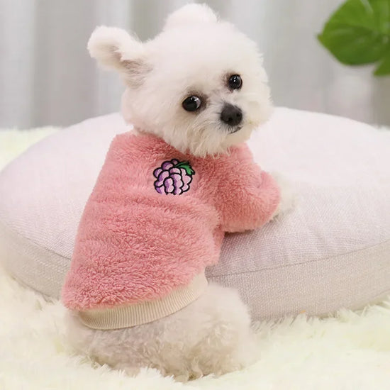 Warm Small Dog Clothing