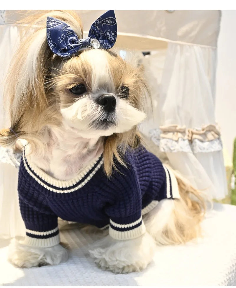 Pet Bear Sweater