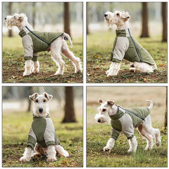 Cozy Winter Dog Coat