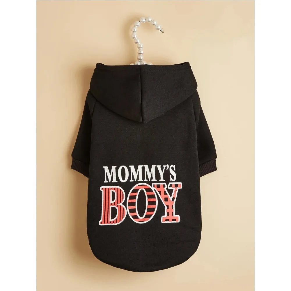 Pet Hoodie Outfit