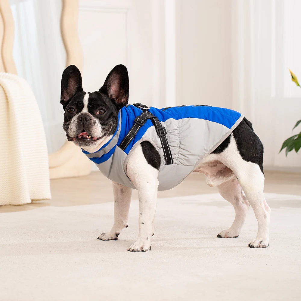 Dog Winter Coat with Harness