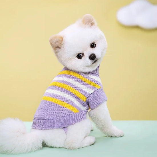 Dog Knitted Sweater