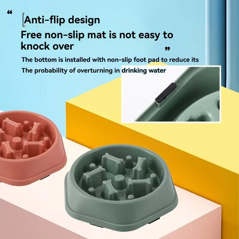 Pet Food Bowl