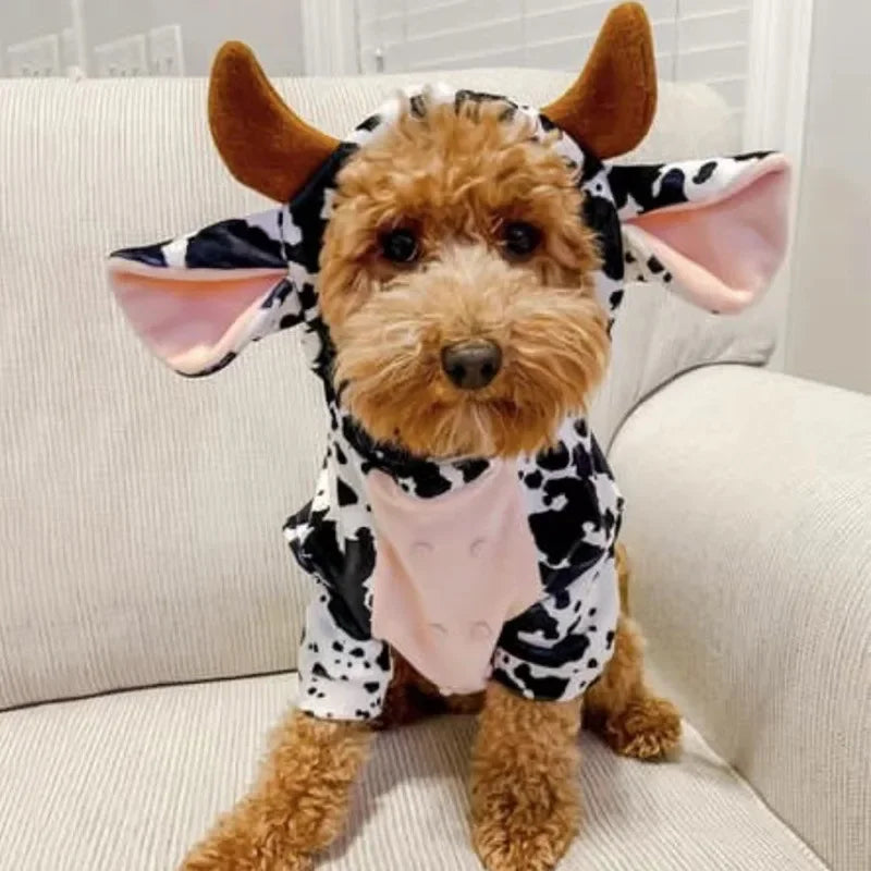 Halloween Puppy Outfit