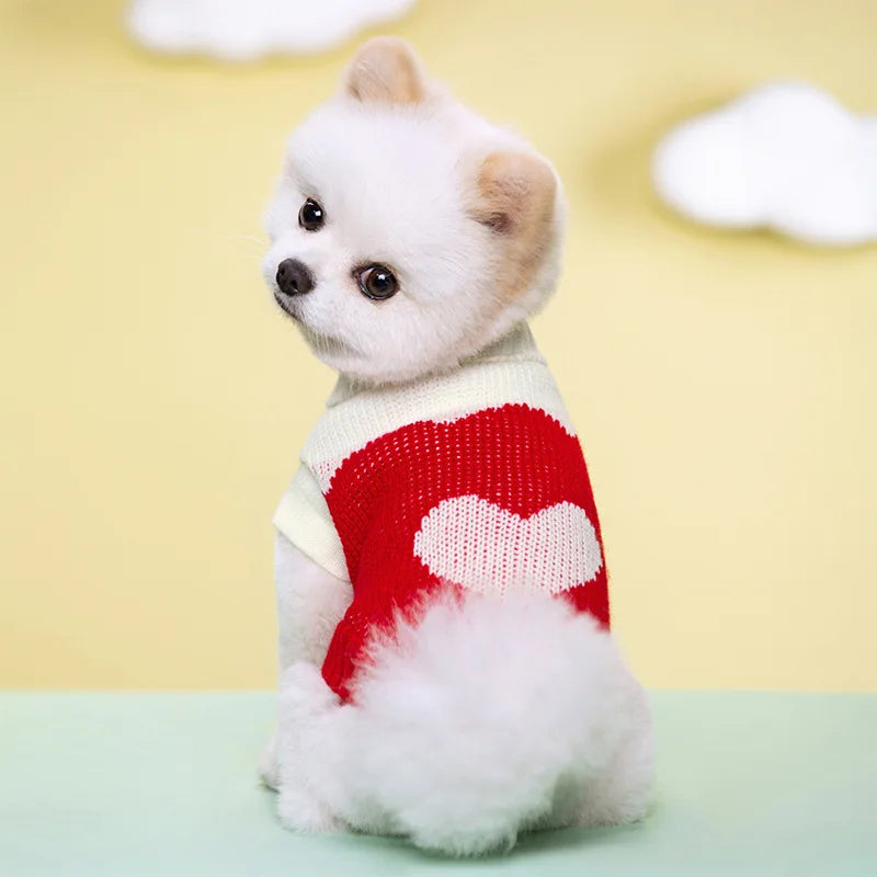 Dog Knitted Sweater
