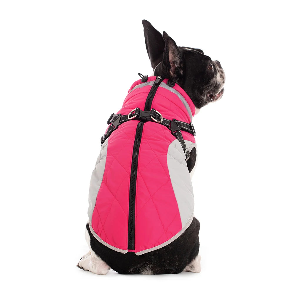 Dog Winter Coat with Harness