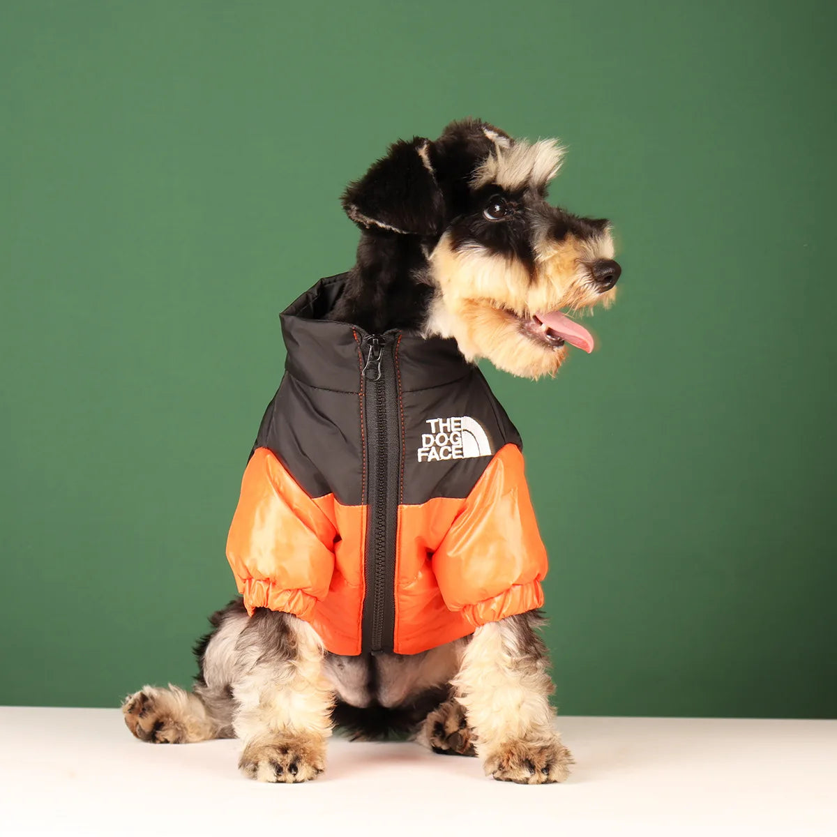 Large Winter Windproof Dog Jacket