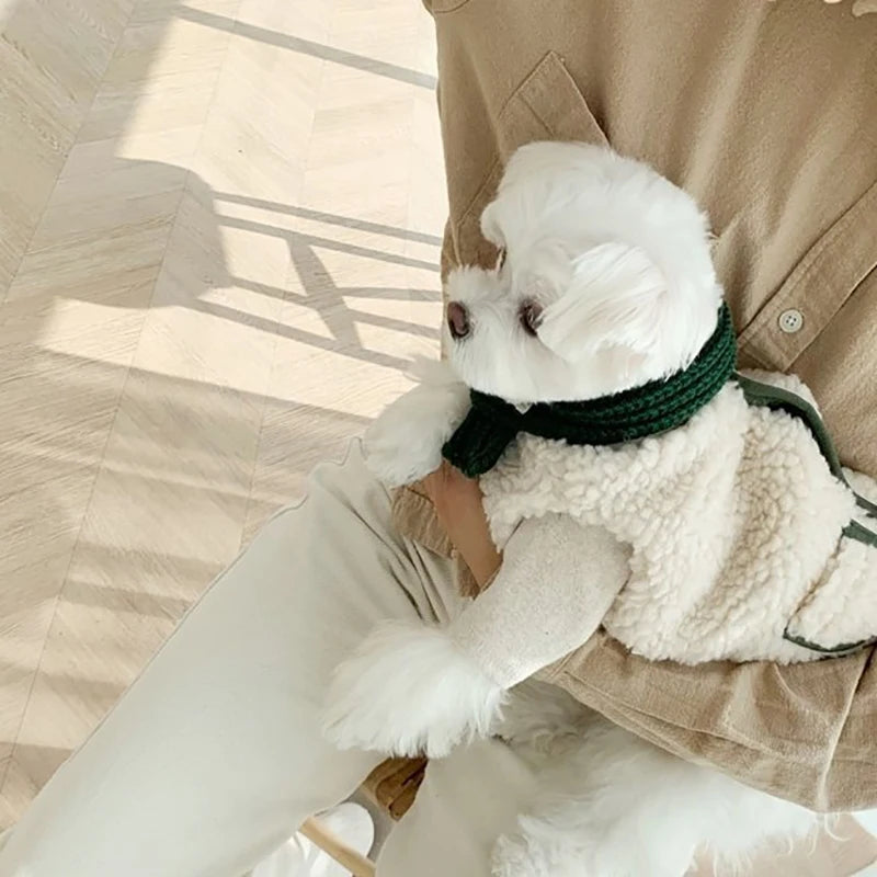 Royal Crown Pet Costume