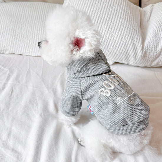 Cute Casual Pet Sweater