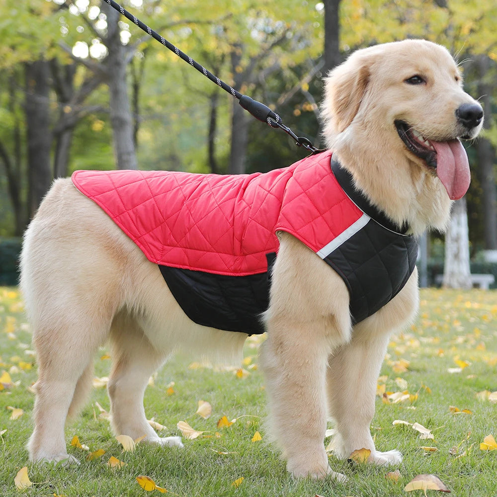 Winter Dog Vest Jacket