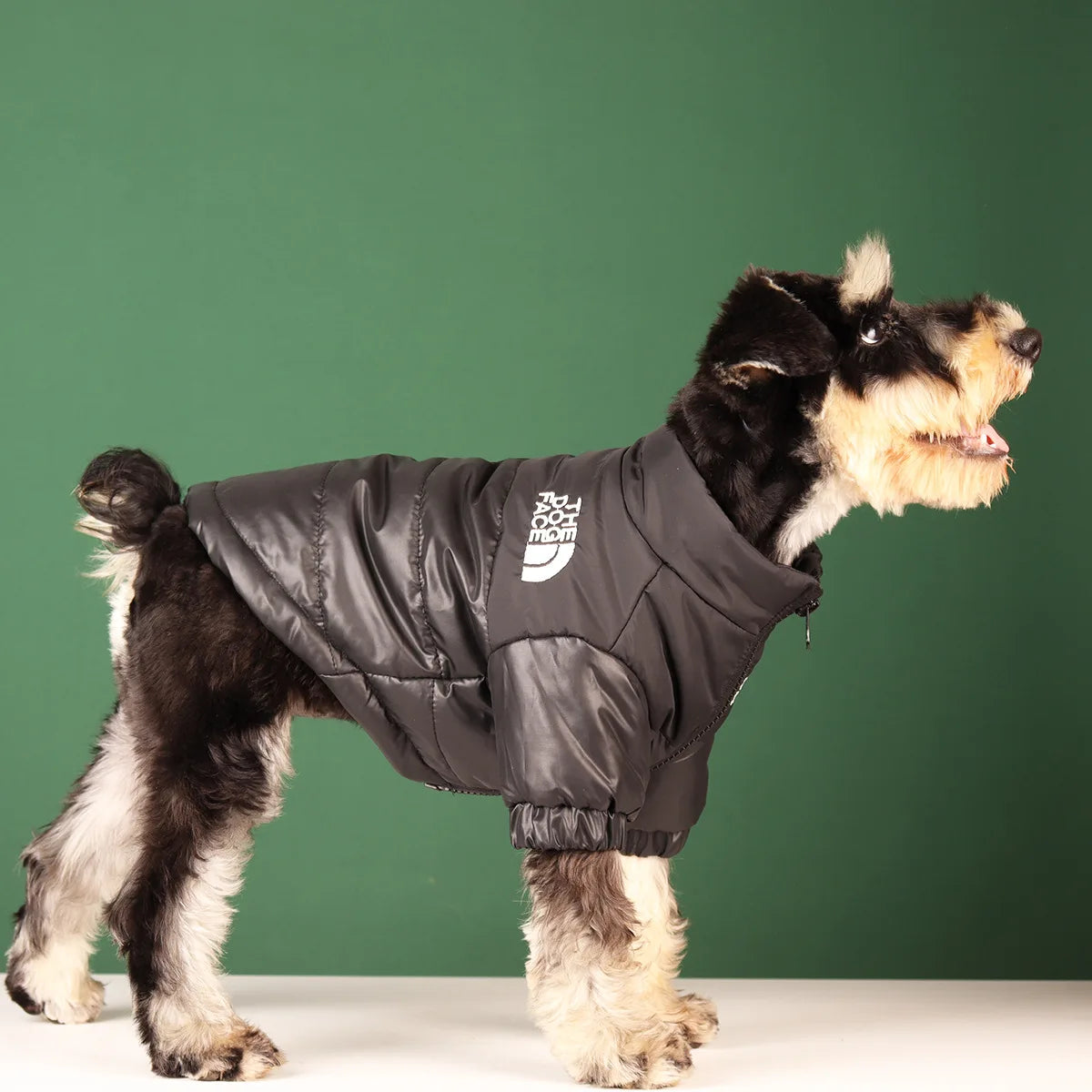 Large Winter Windproof Dog Jacket