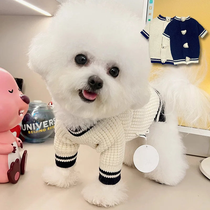 Pet Bear Sweater