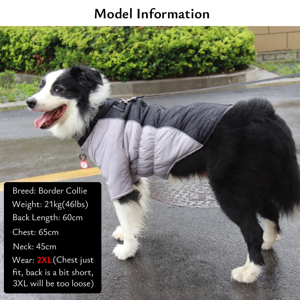 Dog Winter Coat