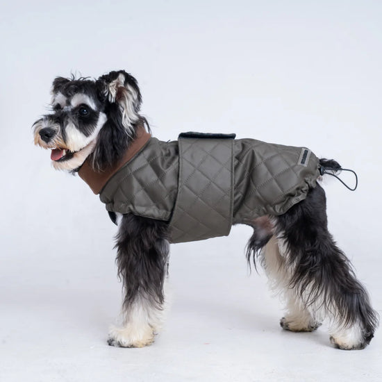 Waterproof Dog Jacket
