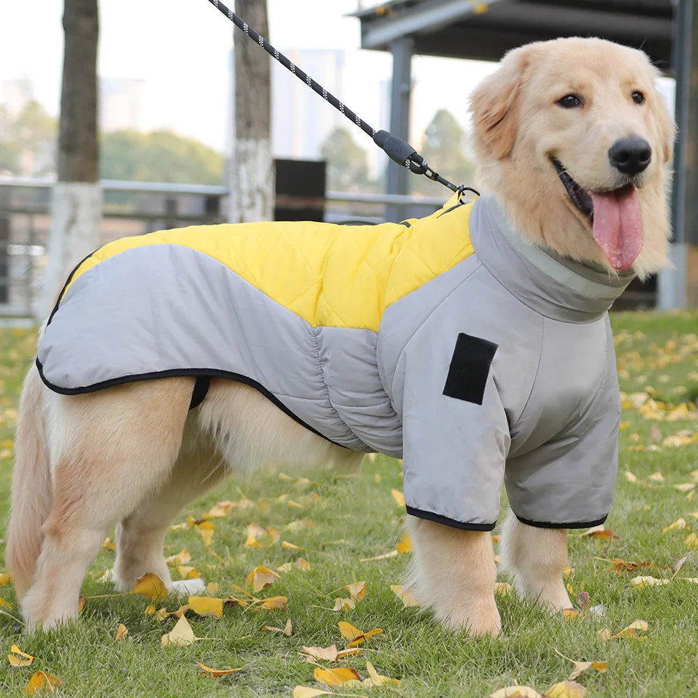 Large Dog Winter Coat