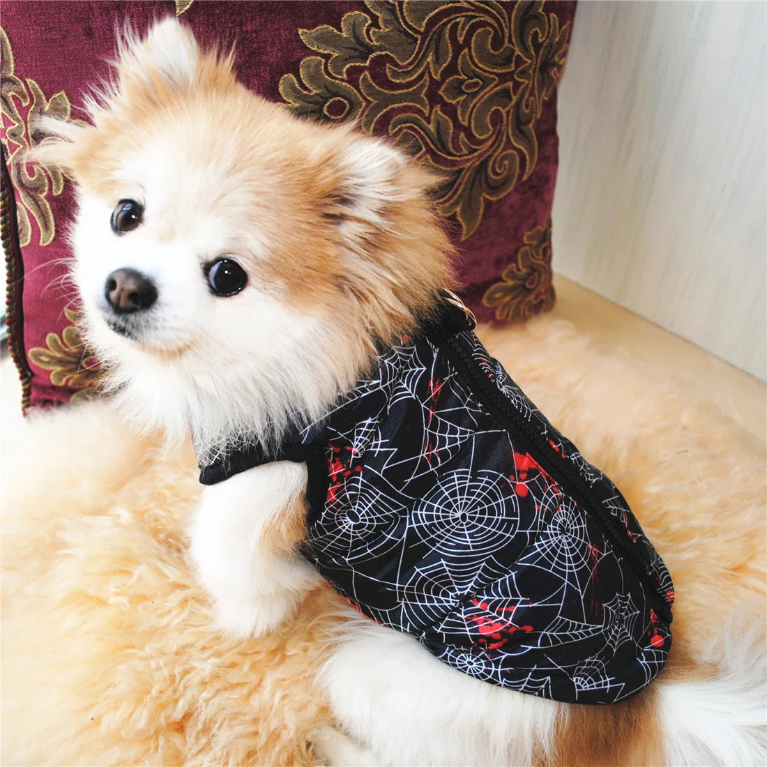 Warm Pet Outfit