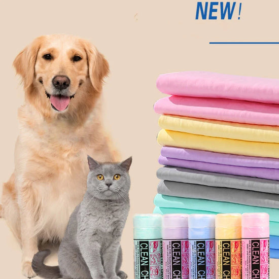 Soft Pet Bathrobe & Cleaning Towel