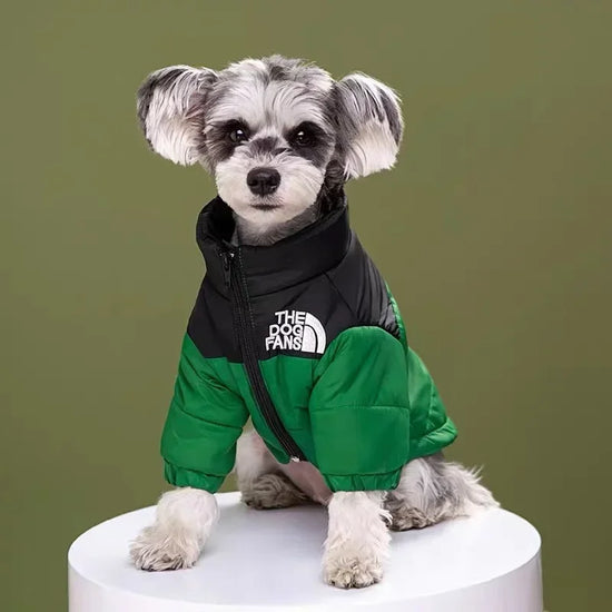 Winter Padded Dog Coat