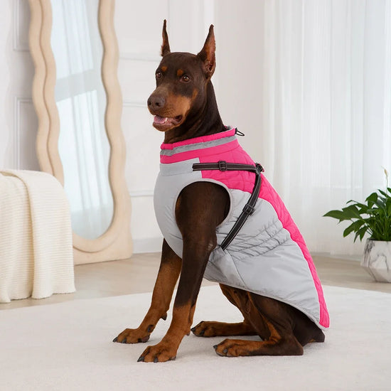 Dog Winter Coat with Harness