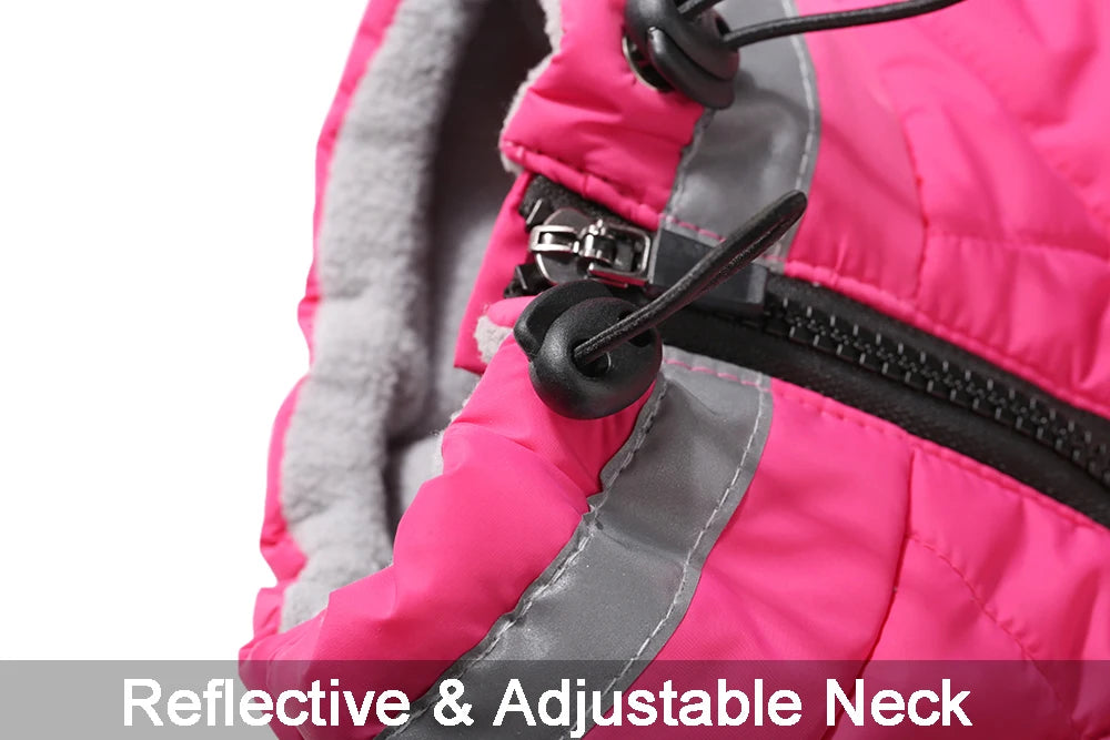 Dog Winter Coat with Harness