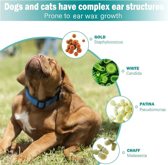 Pet Hair Removal Cleaner