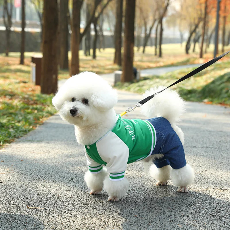 PET OUTFIT