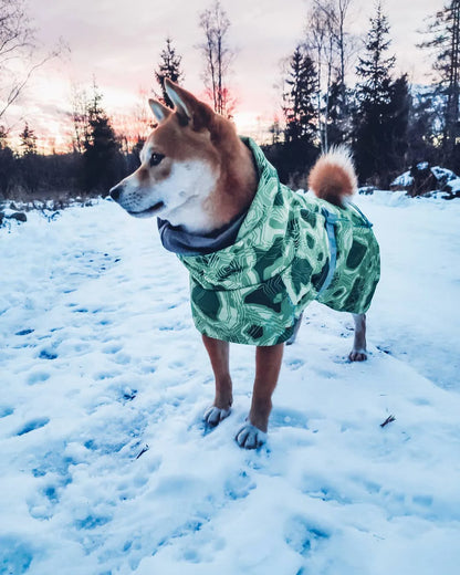 Dog Winter Outfit