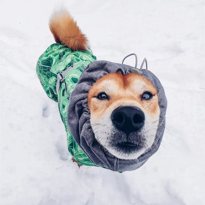 Dog Winter Outfit