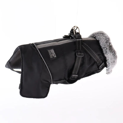 Winter Waterproof Dog Jacket
