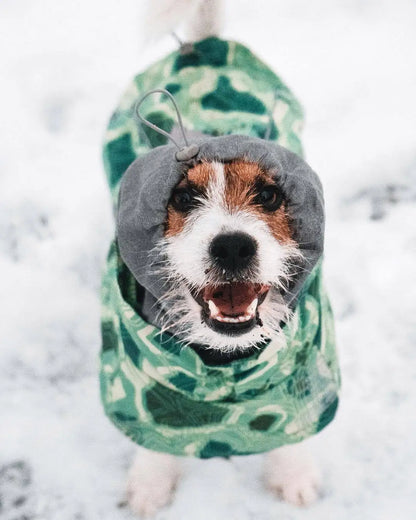 Dog Winter Outfit