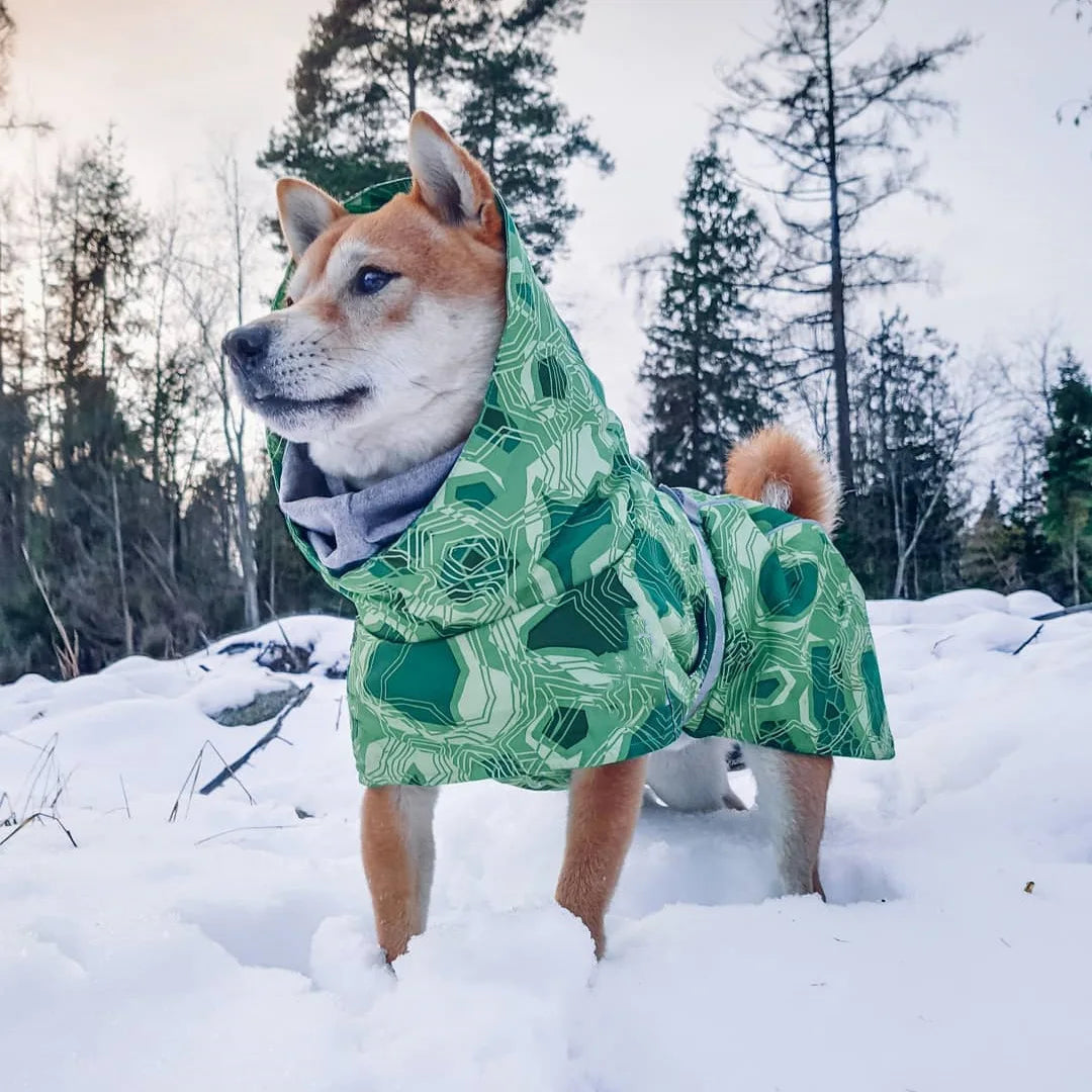 Dog Winter Outfit