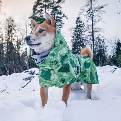 Dog Winter Outfit